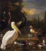 HONDECOETER, Melchior d A Pelican and Other Birds Near a Pool, USA oil painting artist